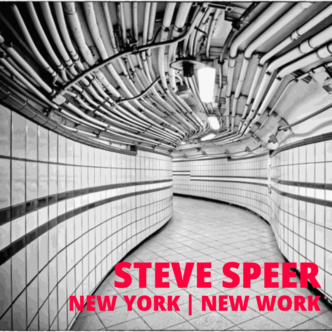 STEVE SPEER : New York | New Work