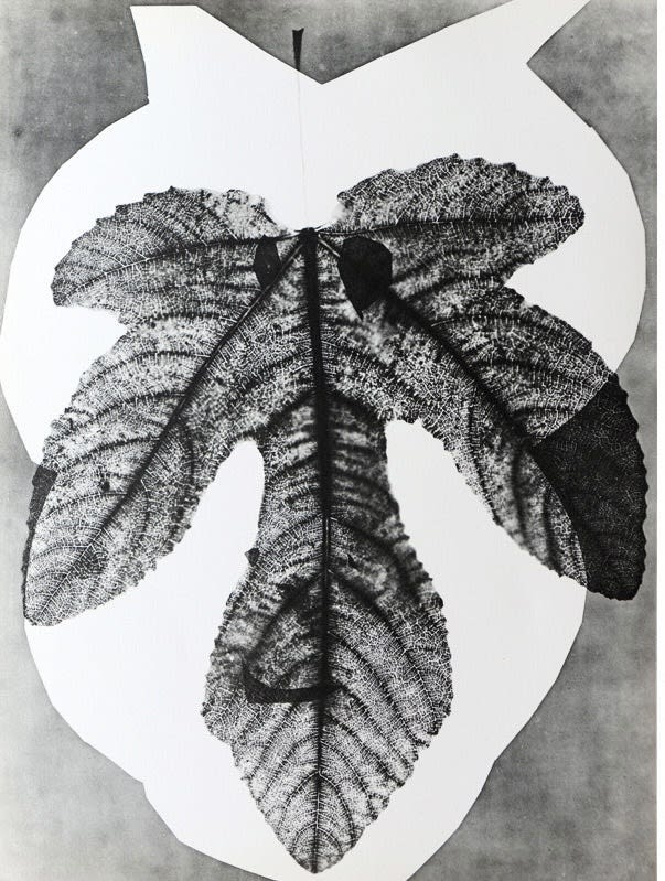 Main image caption