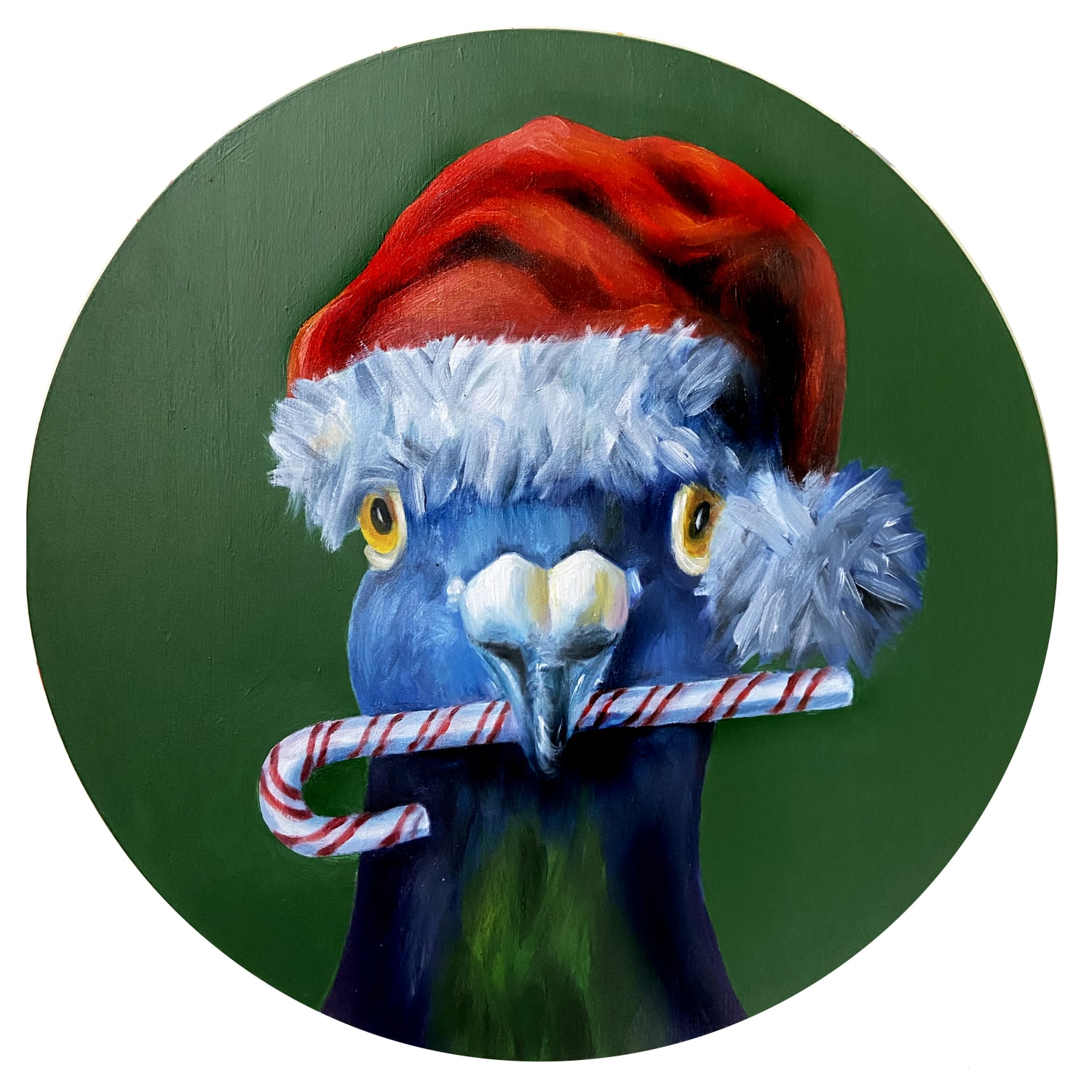 Candy Cane Pigeon, 2025