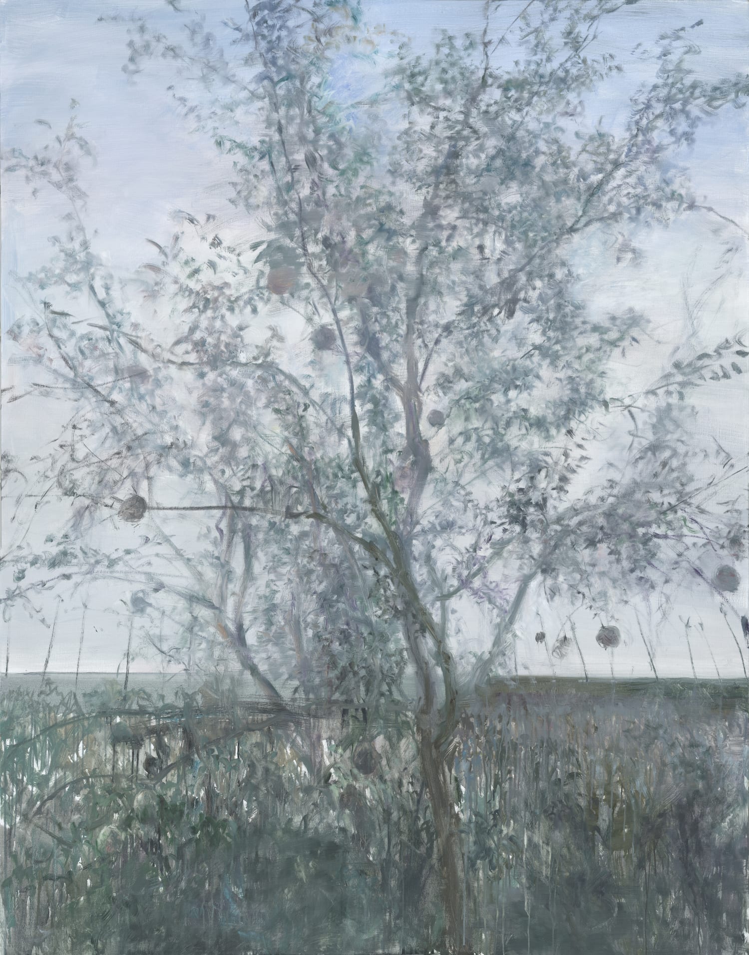 苏州博物馆 | 人在青山外——何多苓作品展