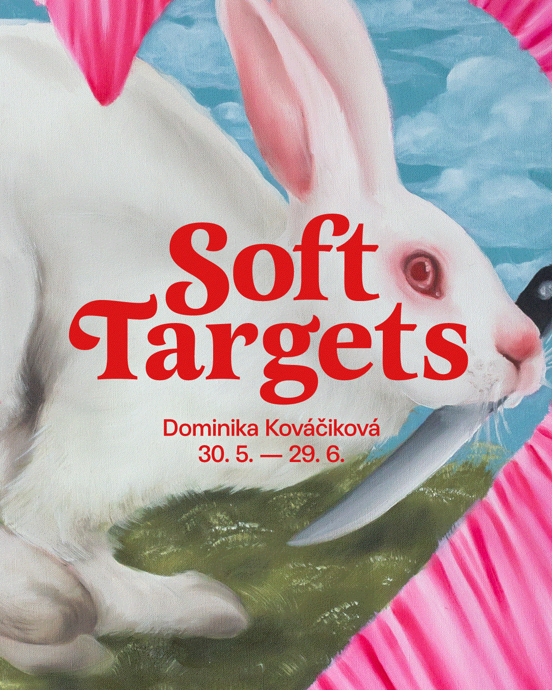 Vernisáž: Dominika Kováčiková - Soft Targets