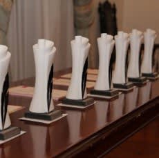 NOMINACE NA CENY ČAVU