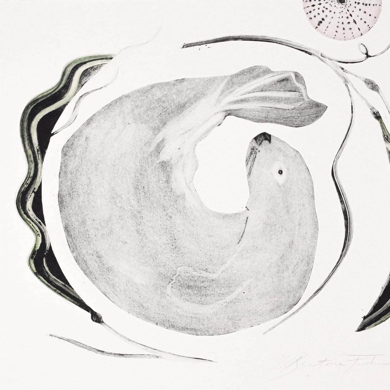 Beatrice Forshall | The Vanishing Species