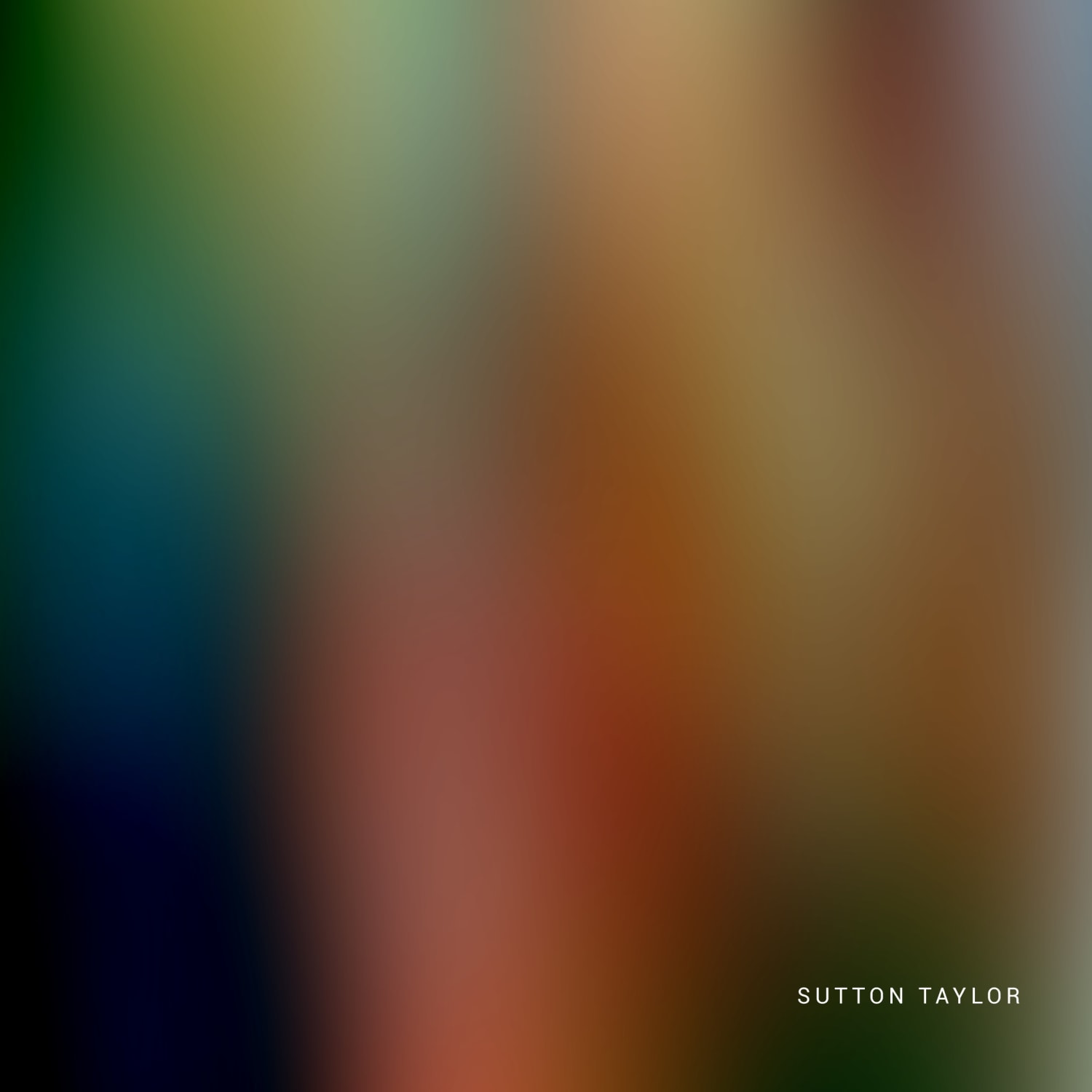 SUTTON TAYLOR / SOLO EXHIBITION
