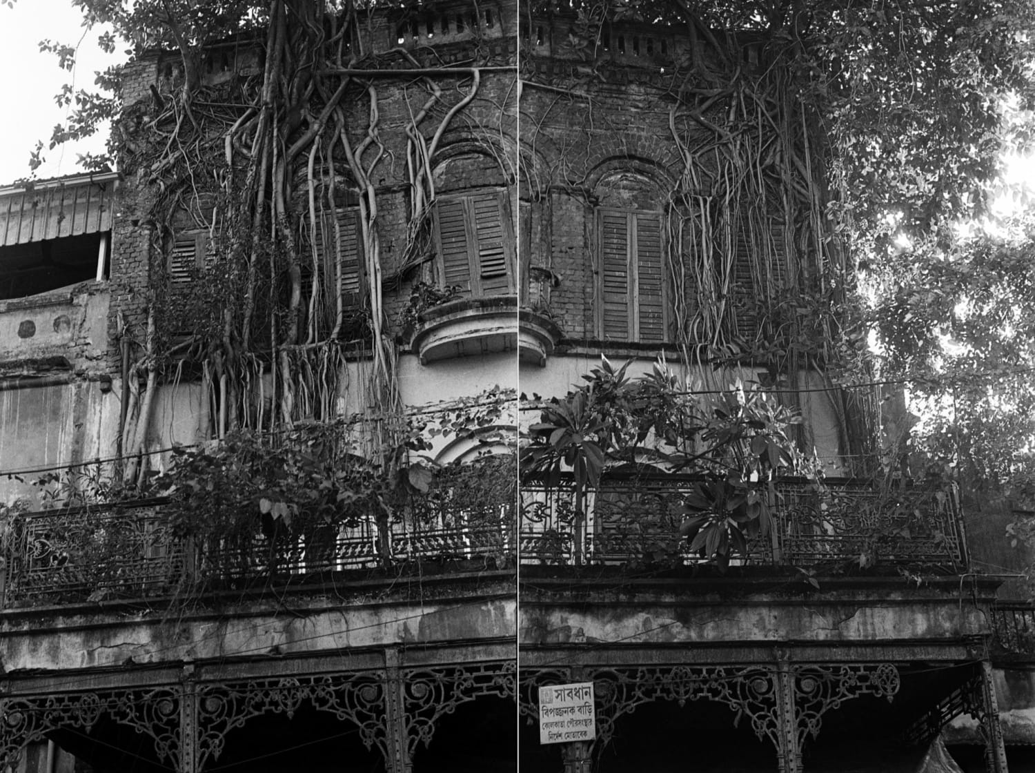 Soham Gupta, Eden Series III, 2019