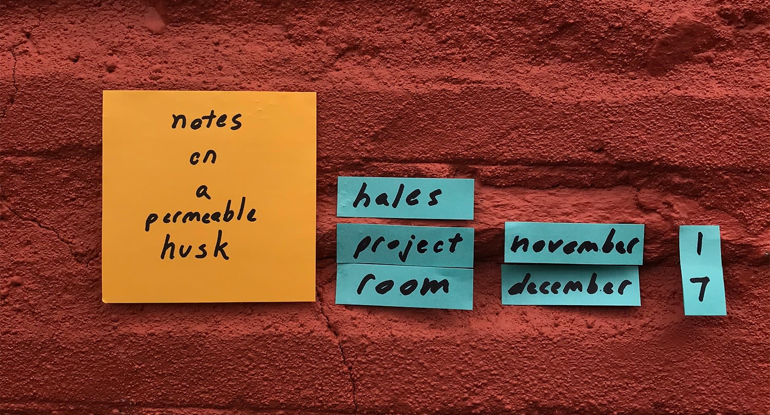 Notes on a Permeable Husk poster