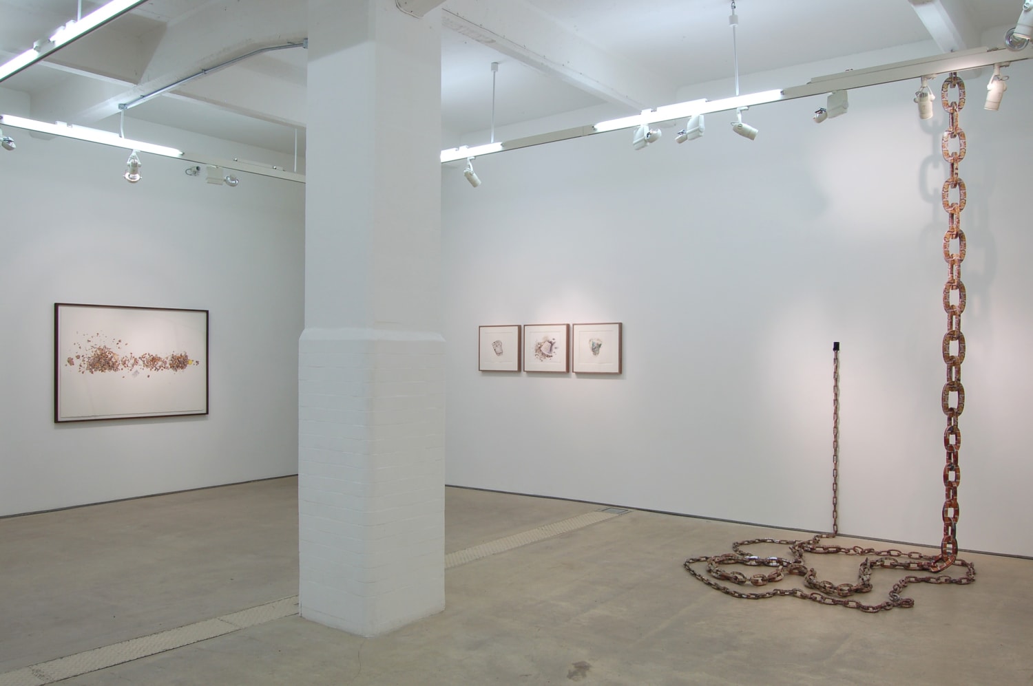 Installation view of Jane Wilbraham, Ignoble Rot at Hales London, 2008