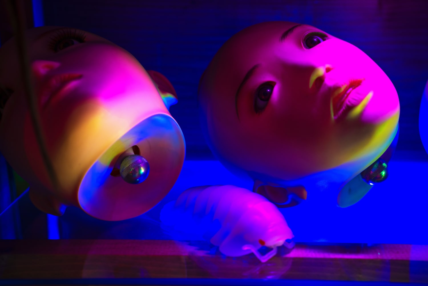 Yumeng Zhu, Fragile Beauty, 2024