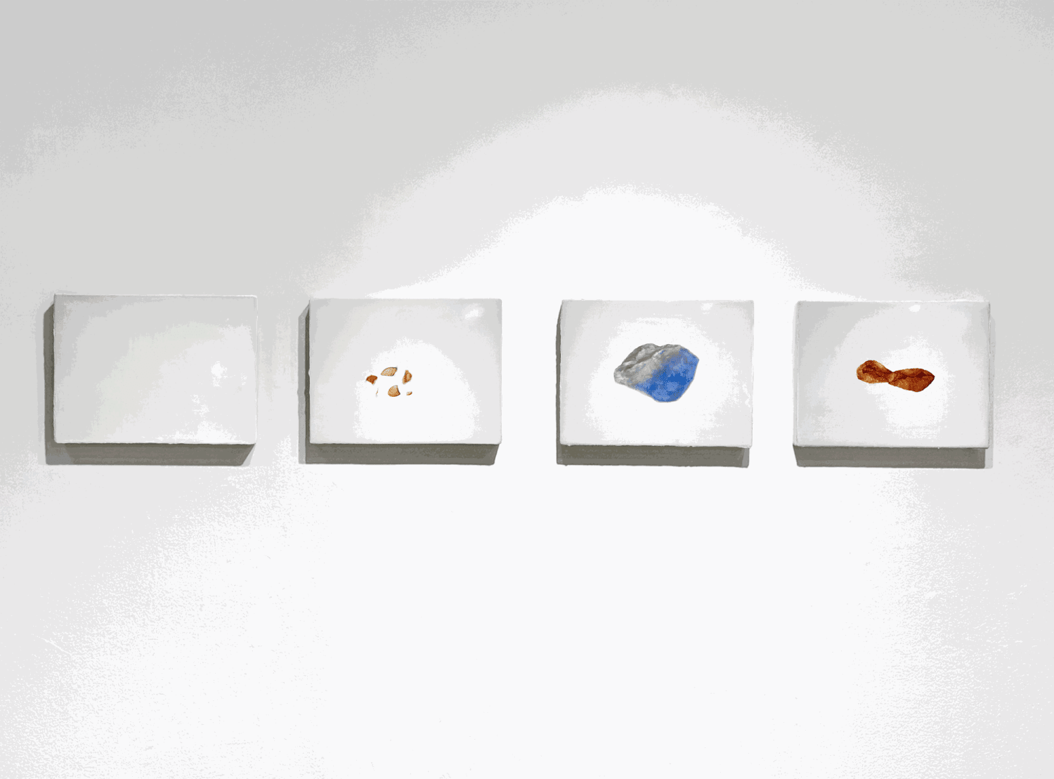 Hafsa Nouman, What is the Desired fruit?, 2024