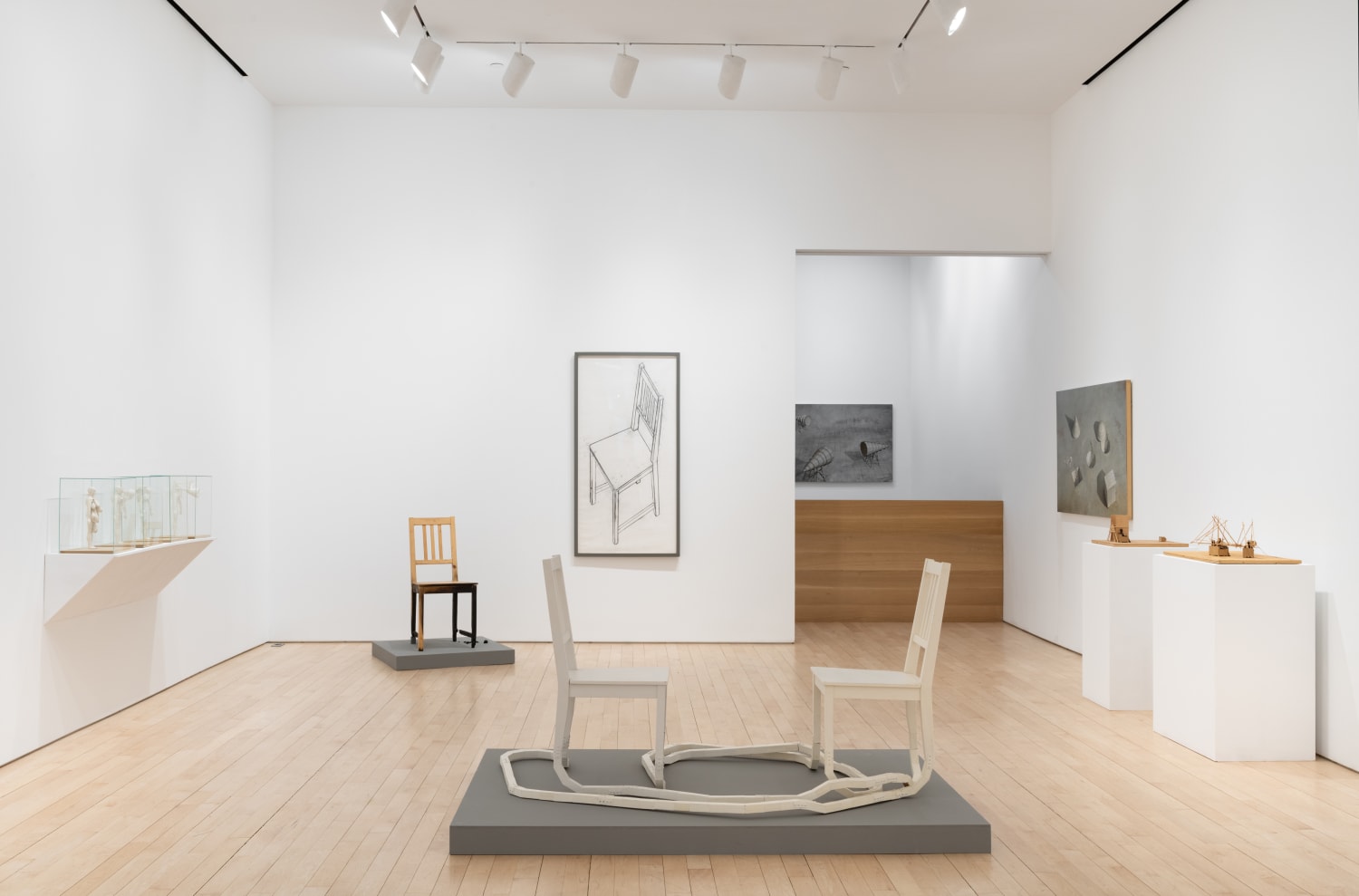 Allan Wexler: Probably True | January 17 - March 8, 2025