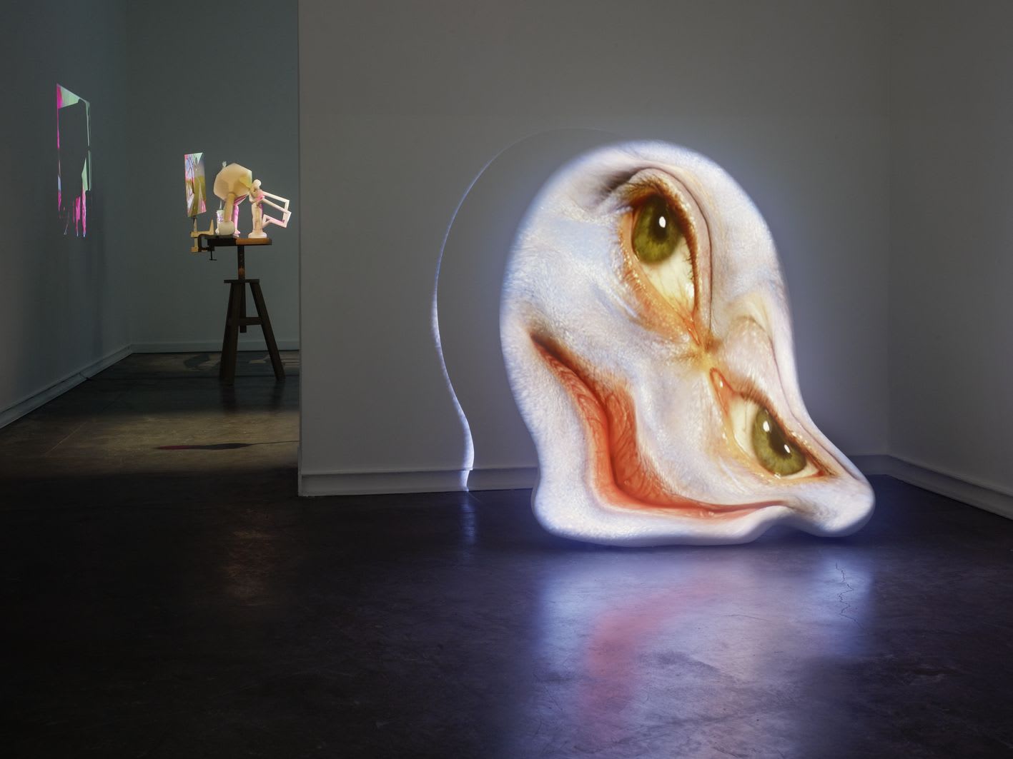 Tony Oursler 14 January 5 March 2011 Galerie Mitterrand