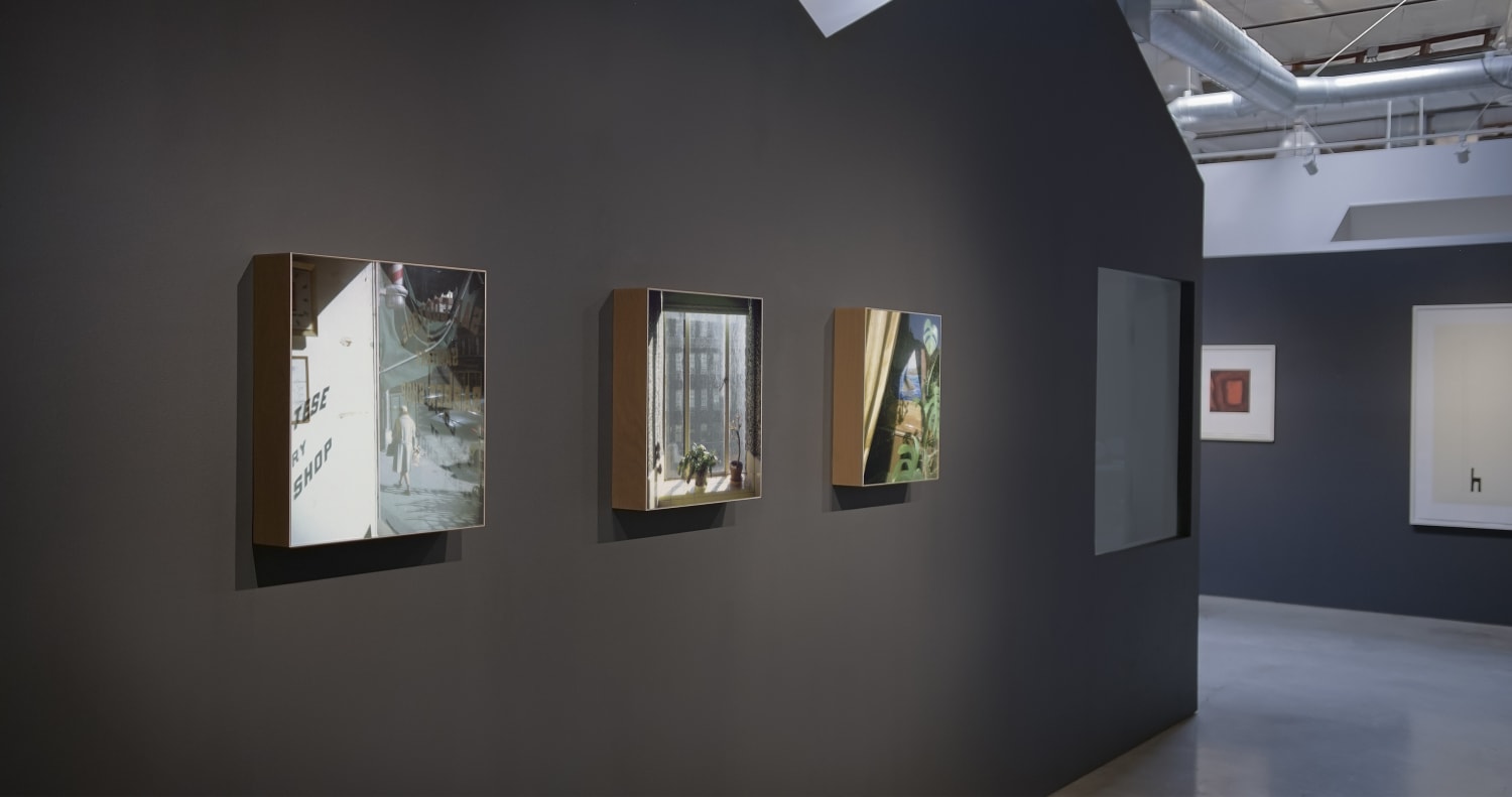 STEPHEN SHORE: Phaidon Contemporary Artistsスティーヴン