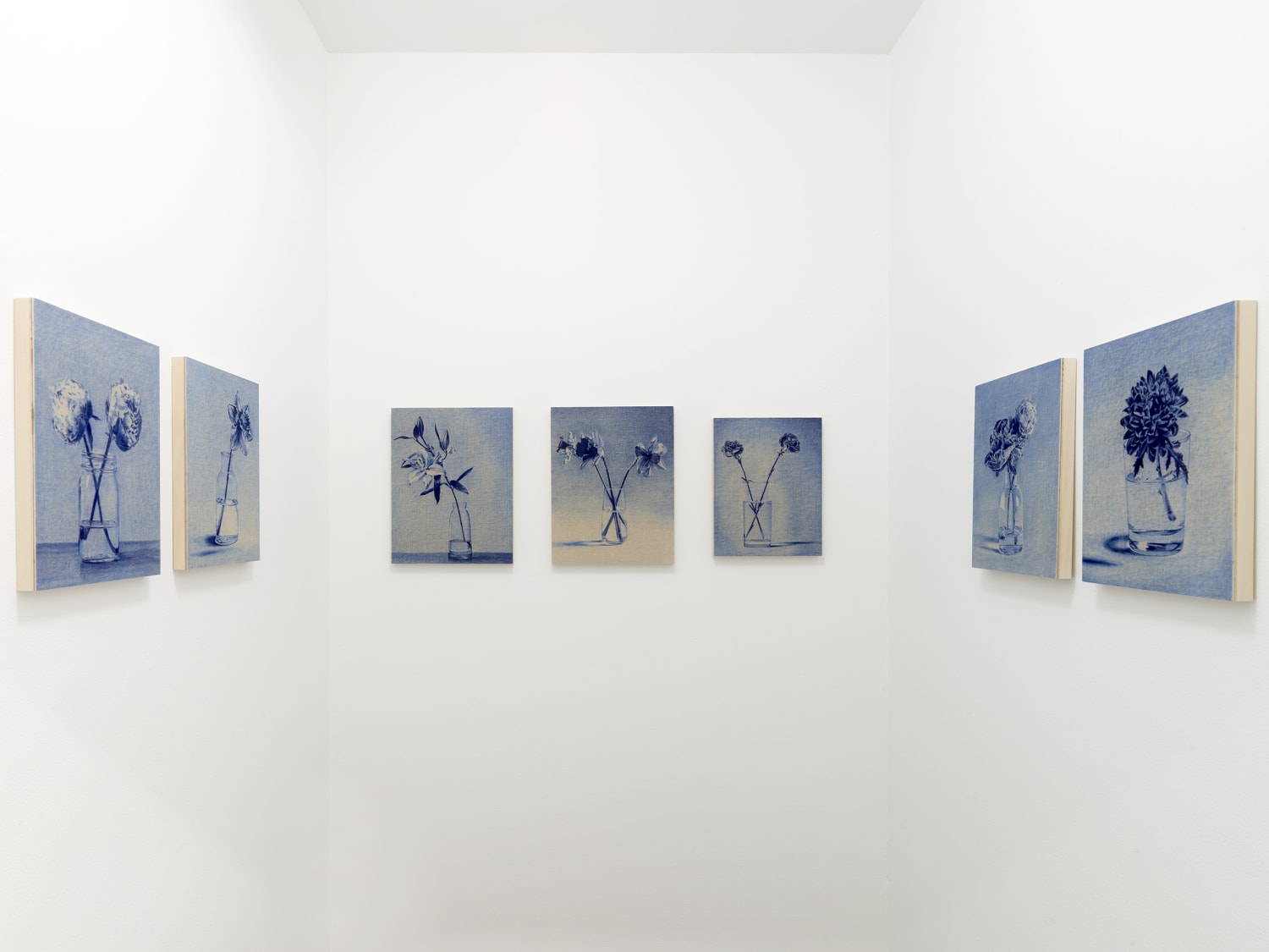 Mister My Apologies Installation View 012