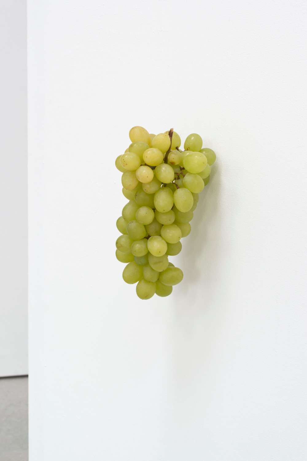 Karin Sander, Grapes / Trauben, 2012