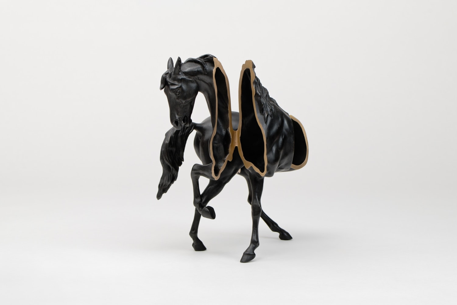 Etienne Chambaud, Zebroid, 2024