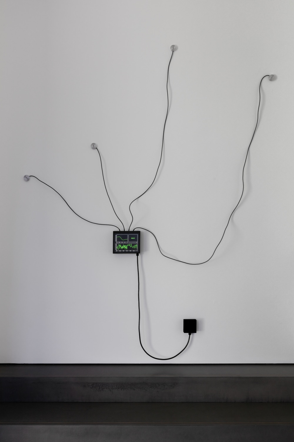 Etienne Chambaud, Fever (Harlequin Malaria), 2019