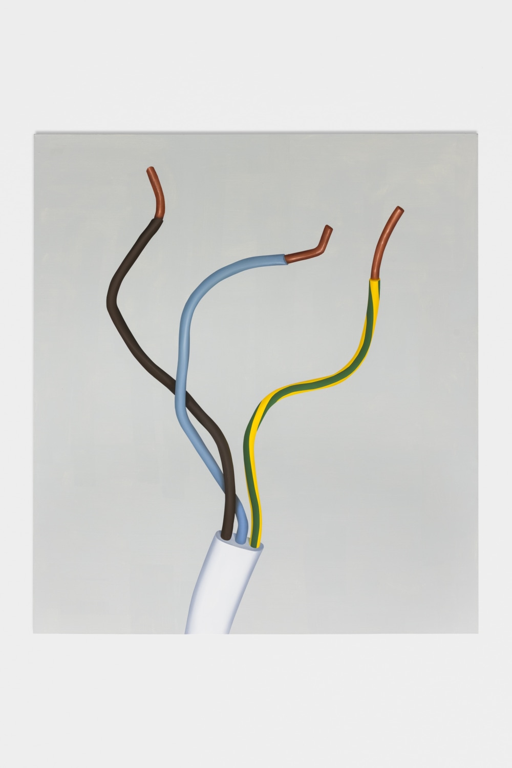 Tomasz Kręcicki, Cables, 2024