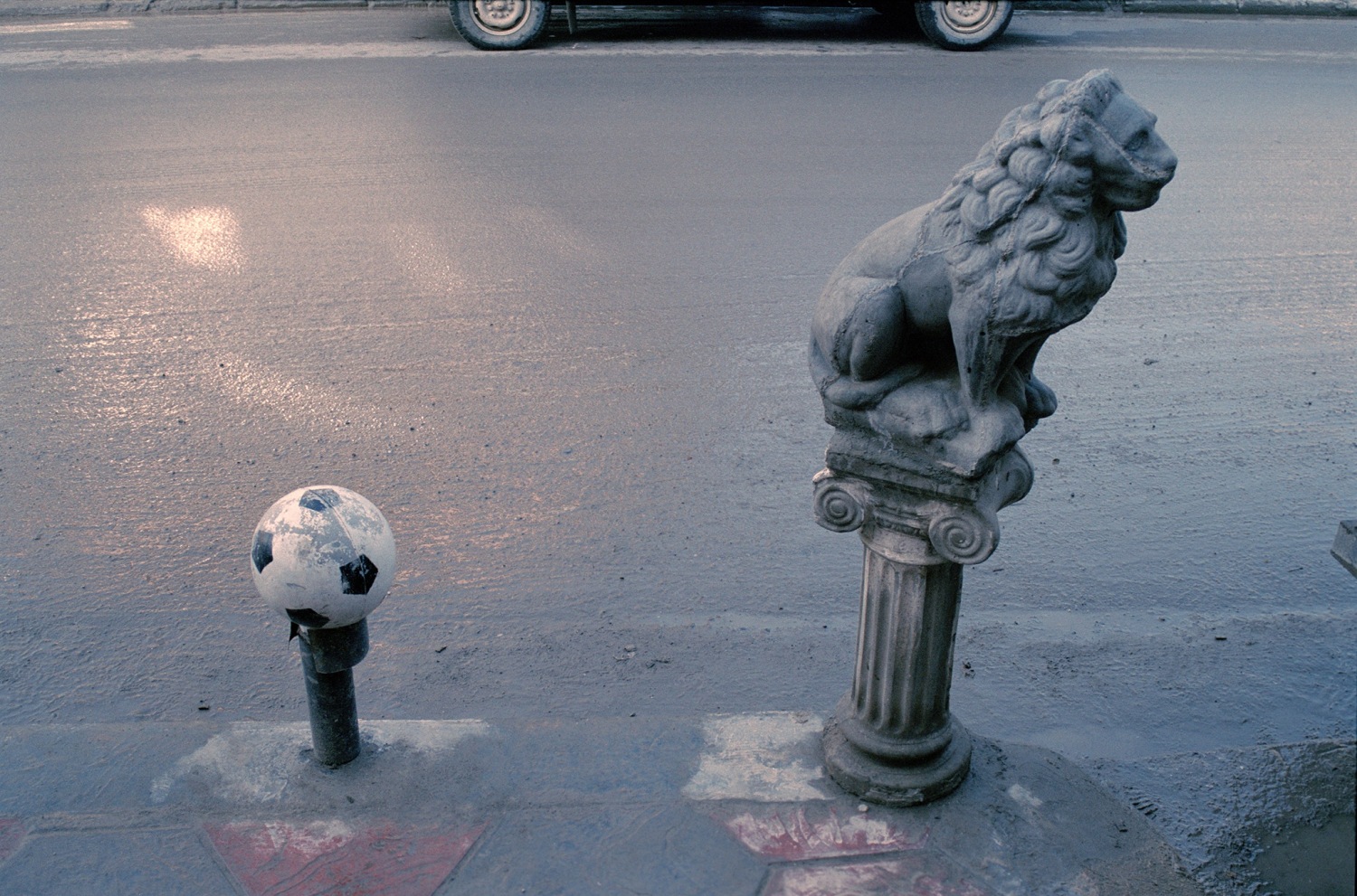 Anri Sala, Untitled (Ball & Lion), 2000