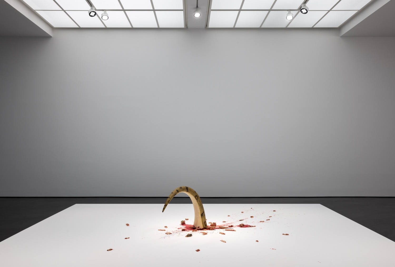 Tao Hui, The Fall (Green), 2022