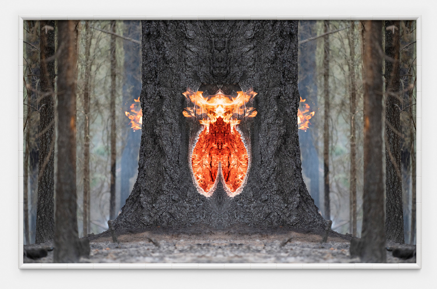 Julius von Bismarck, Fire with Fire (Test Apparatus #9), 2021