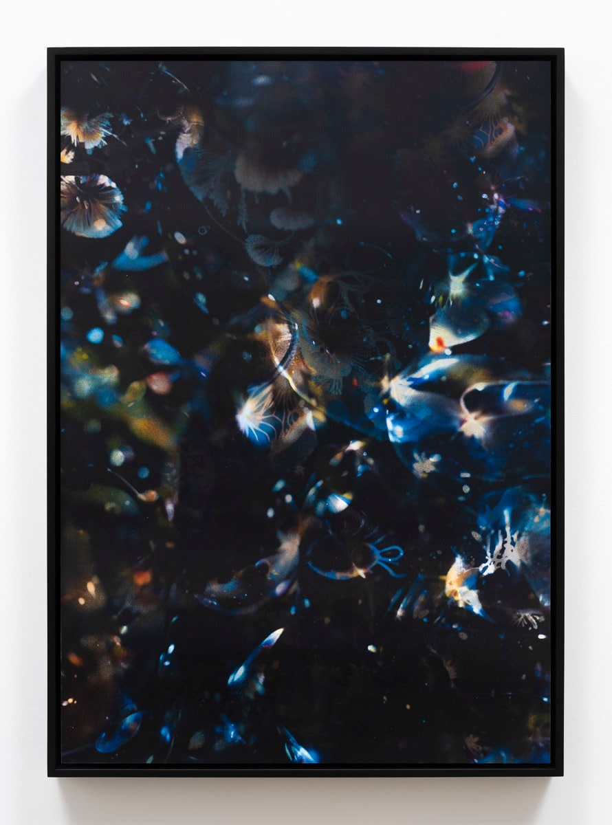 Anicka Yi, Within Emptiness 001, 2024