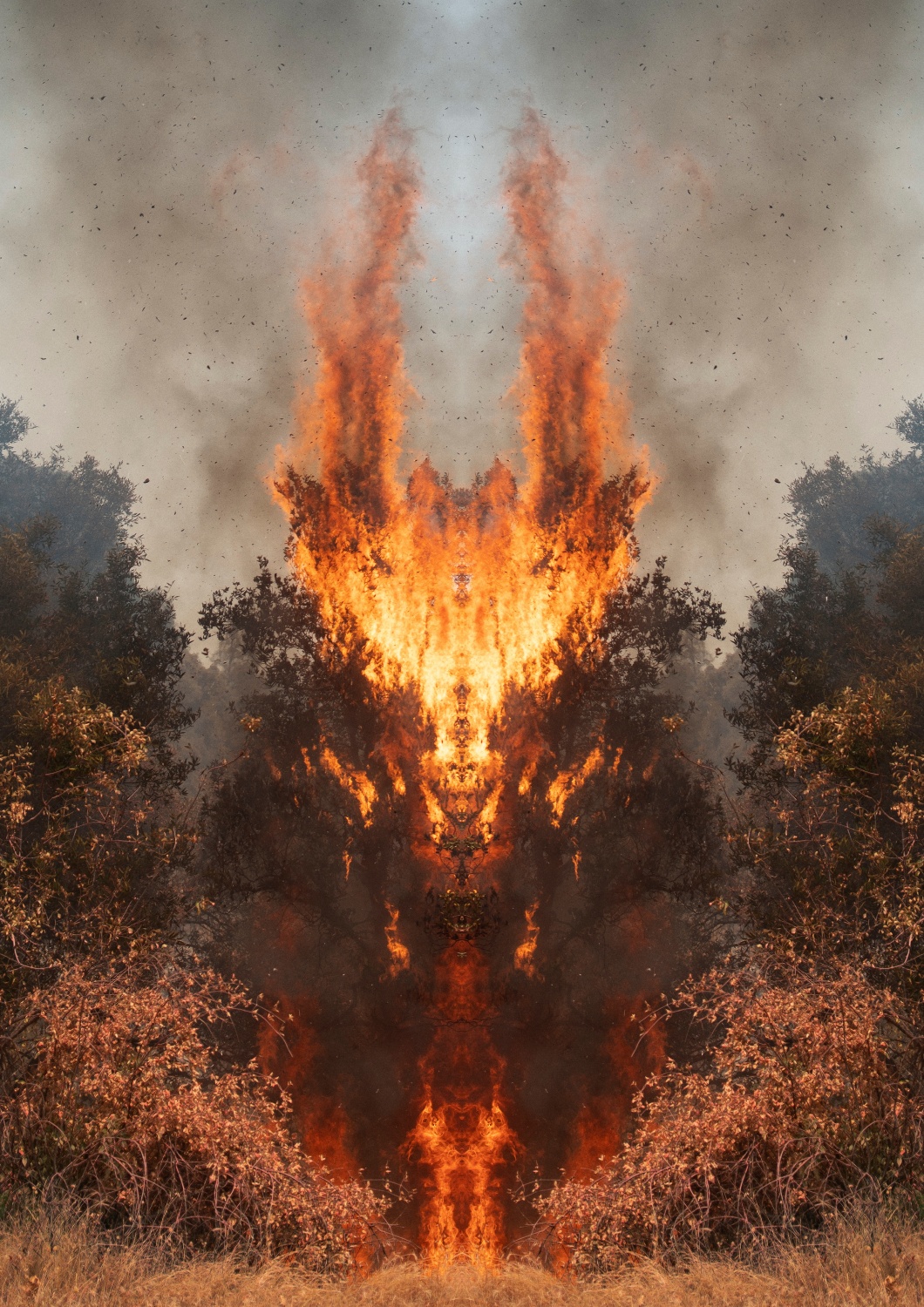 Julius von Bismarck, Fire with Fire (Test Apparatus #1), 2020
