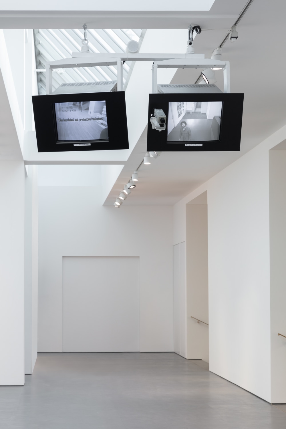 Julia Scher, Occupational Placement, 1989-90