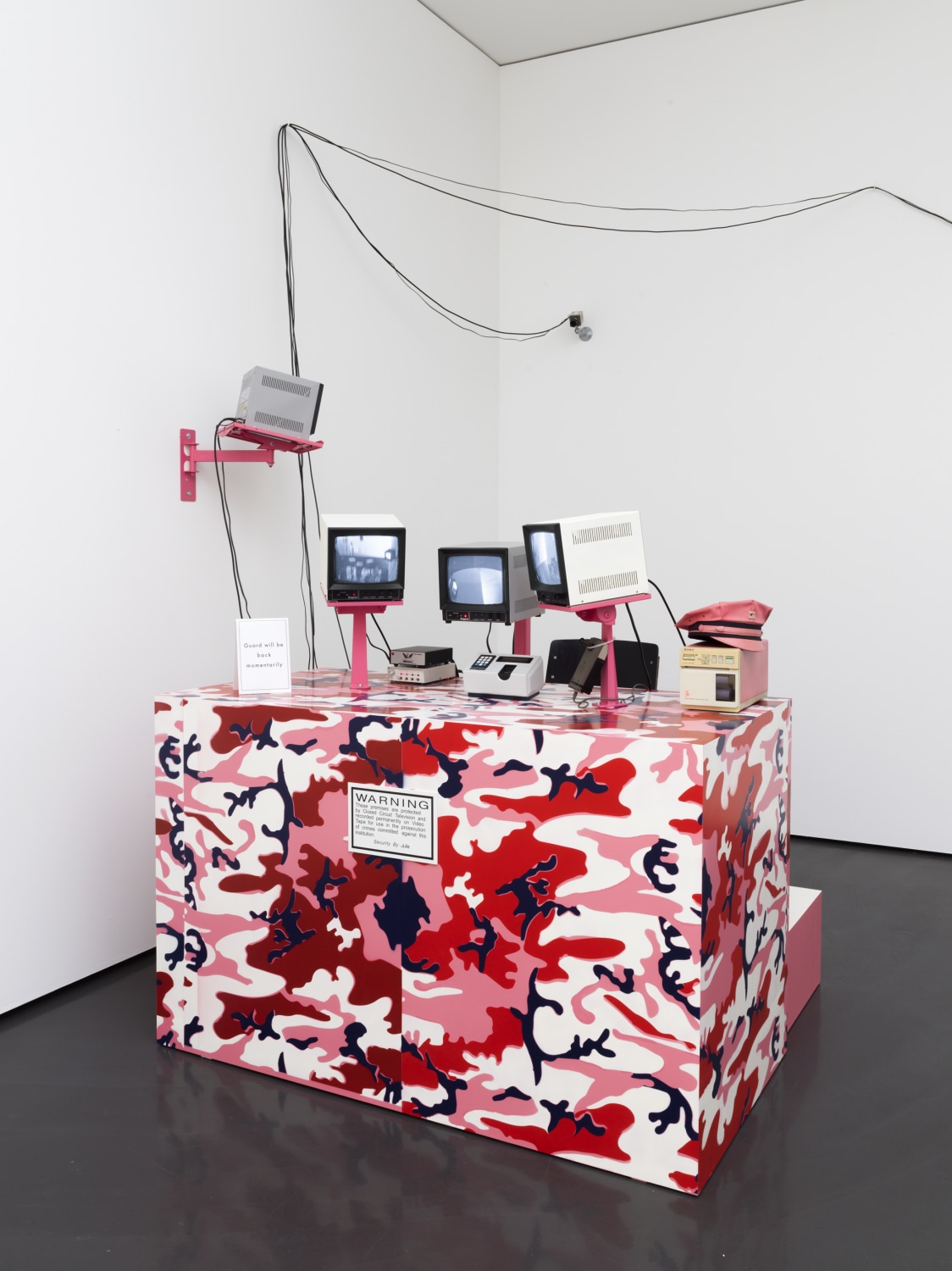 Julia Scher, Security By Julia X, 1991