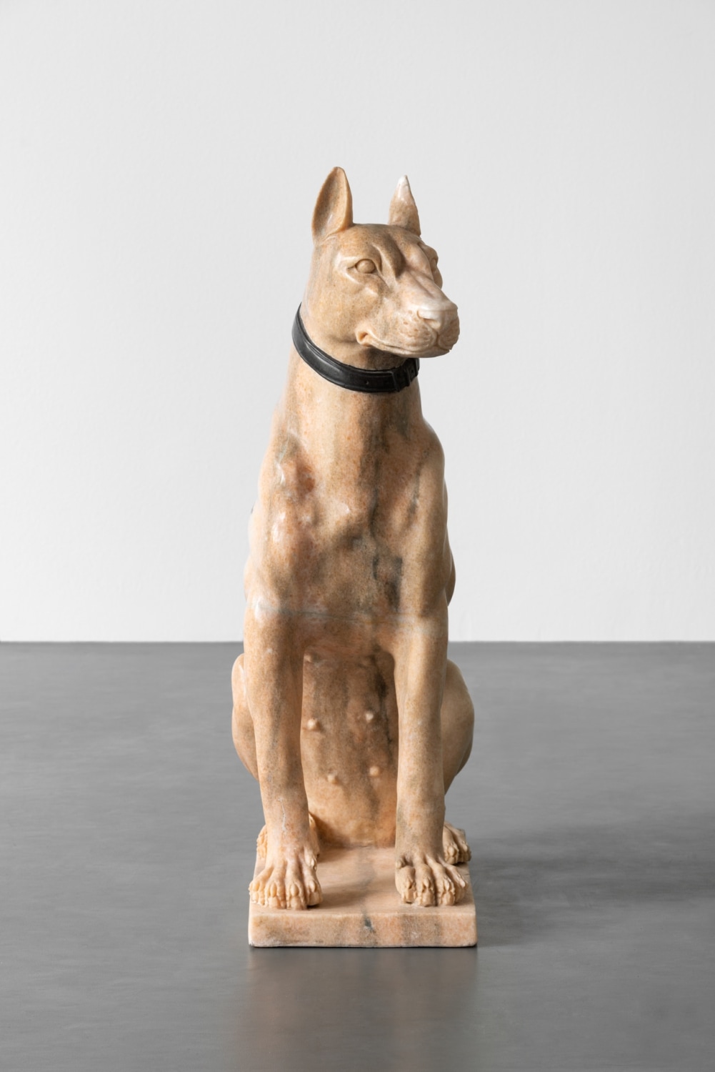 Julia Scher, Girl Dog (Hybrid), 2005
