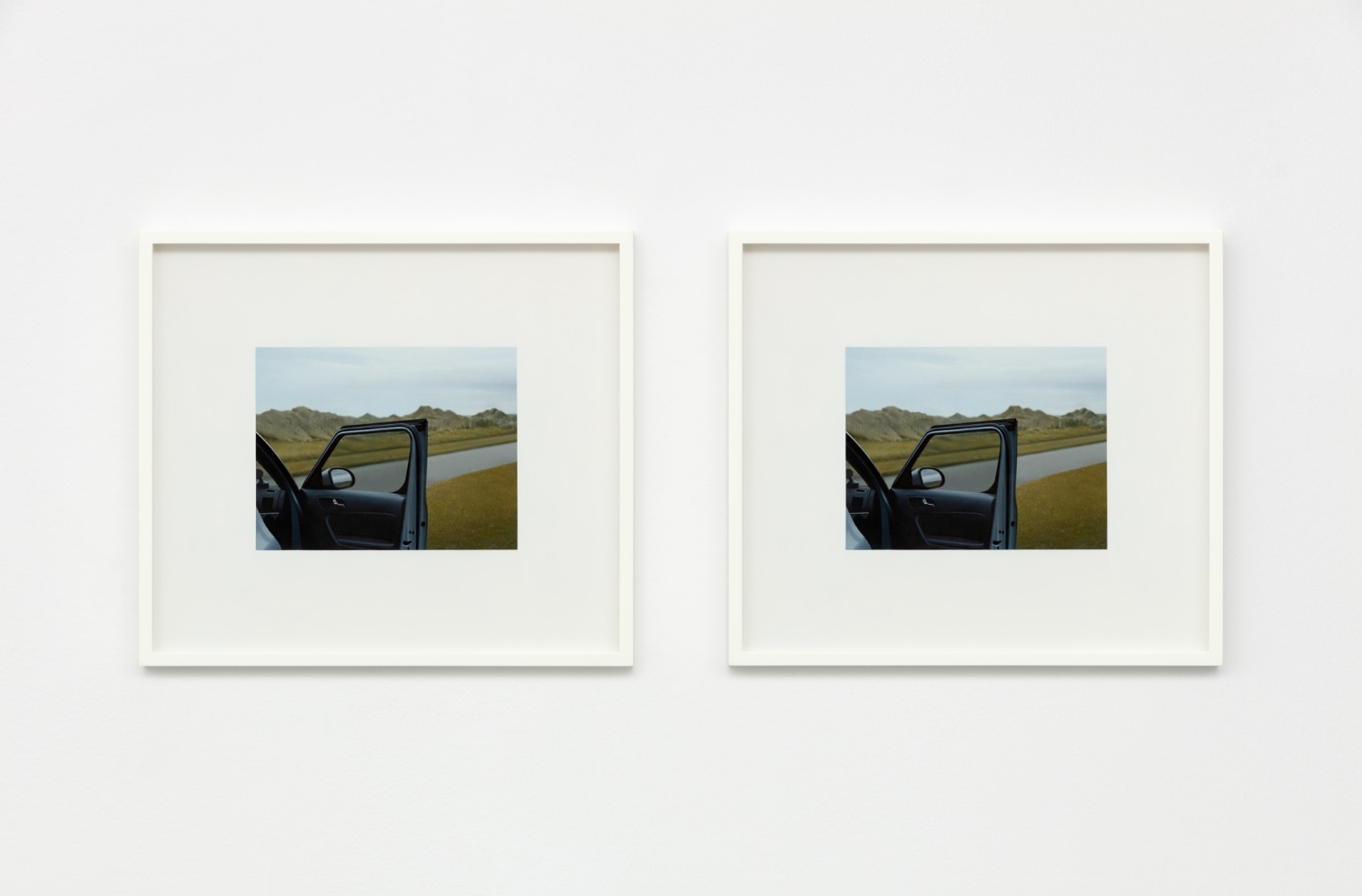 Andrew Grassie, Car Door 1, Car Door 2, 2020
