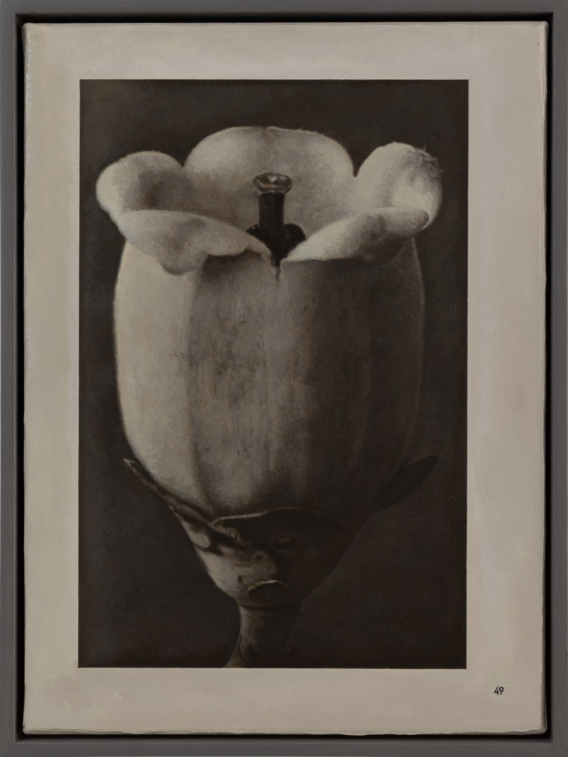 Liu Ye, Book Painting No. 22 (Karl Blossfeldt, Wunder in der Natur, H. Schmidt & C. Günther, Leipzig, 1942, Page...