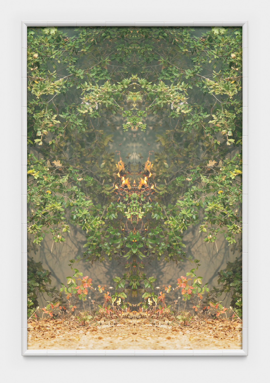 Julius von Bismarck, Fire with Fire (Test Apparatus #4), 2021