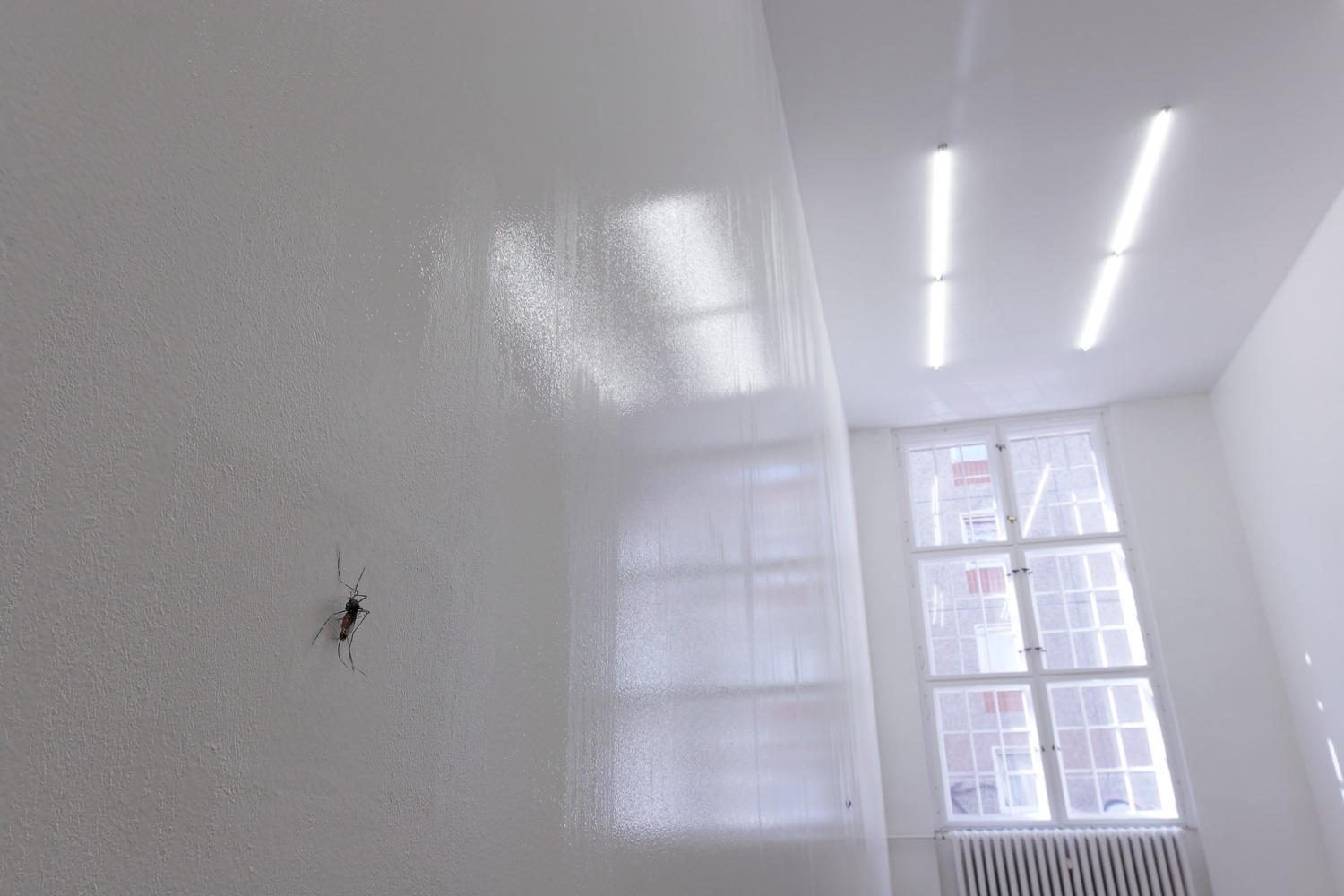 Xu Zhen Untitled, 2008 (left) Non-drying paint Dimensions variable Xu Zhen The Last Few Mosquitos, 2005 (right) Mechanical mosquito, injection,...