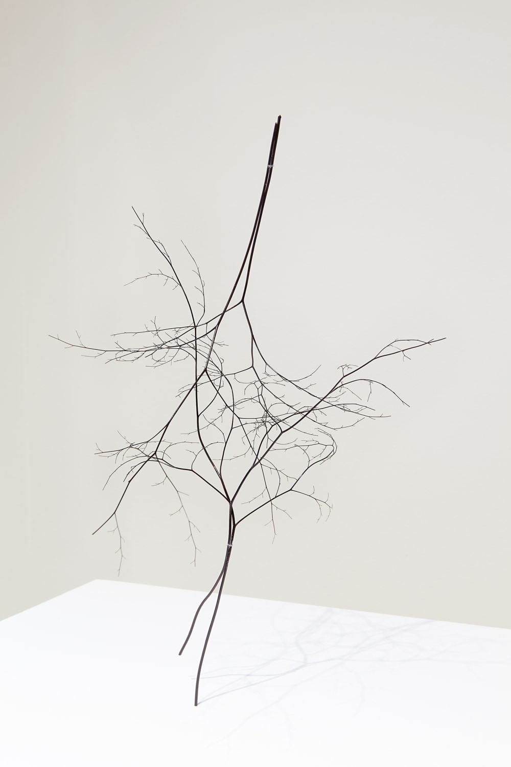 Daniel Steegmann Mangrané Exhibition view Construire une Collection, 2015 Nouveau Musée National de Monaco Photo © Andrea Rossetti