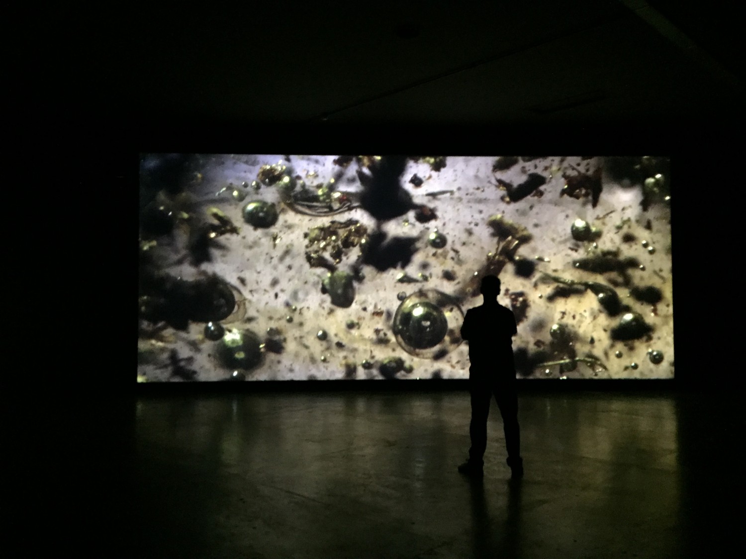 Incerteza Viva with Pierre Huyghe
