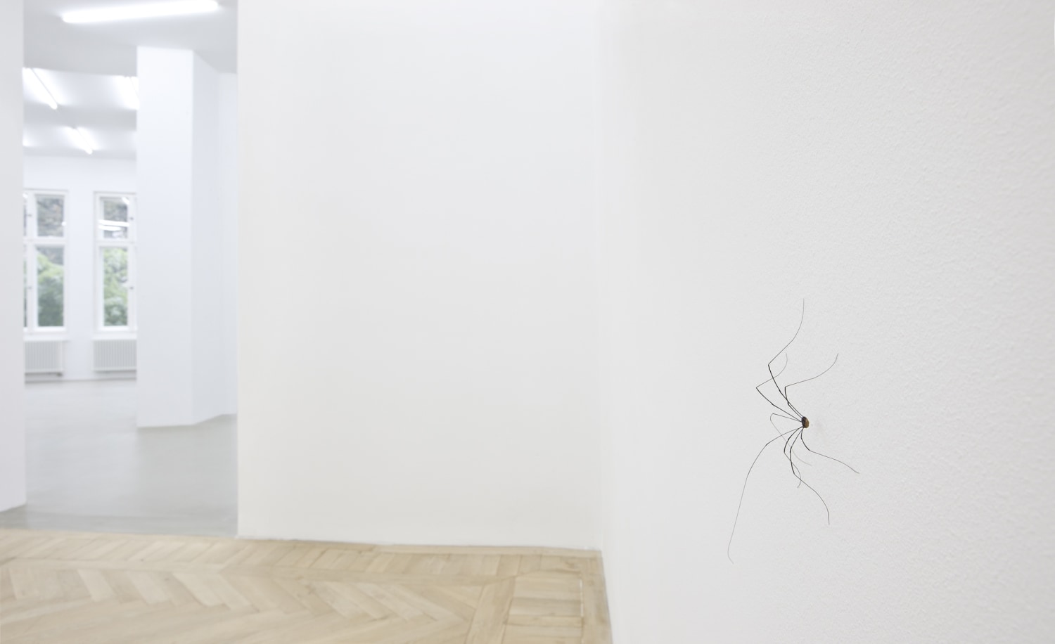 Influants Pierre Huyghe