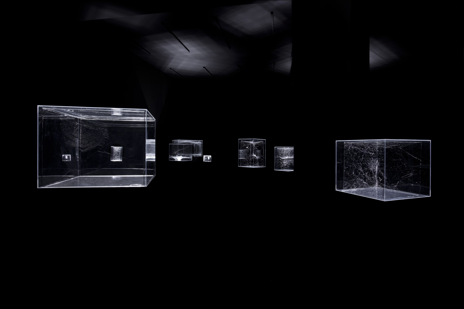 Exhibition view The illuminated, translucent cubes host unusual webs built by different species of spiders. The artistic experiment weaves architecture,...
