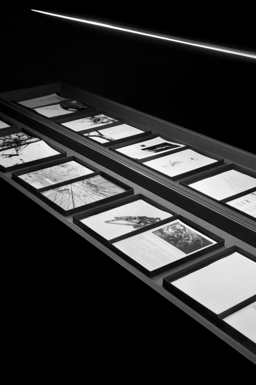 Vitrine, 2013 MDF, paper prints, glass, light The works of Tomás Saraceno are developed in close cooperation with scientists and...