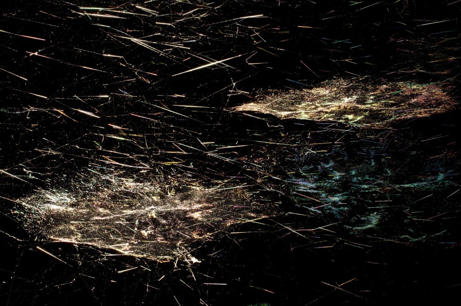 Comet 11 Cyrtophora citricola, 2013 (detail) Spider web, carbon fibre, dedolight 650 Watt, Manfroto tripod The light rectangular frame serves...