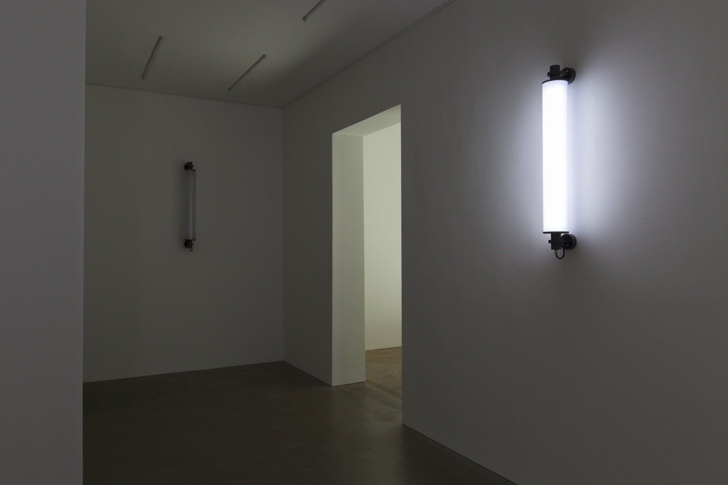 Flickering Light, 2013 (left and right) LED light, 1 programmed chip The light in the vertical lamps is programmed using...