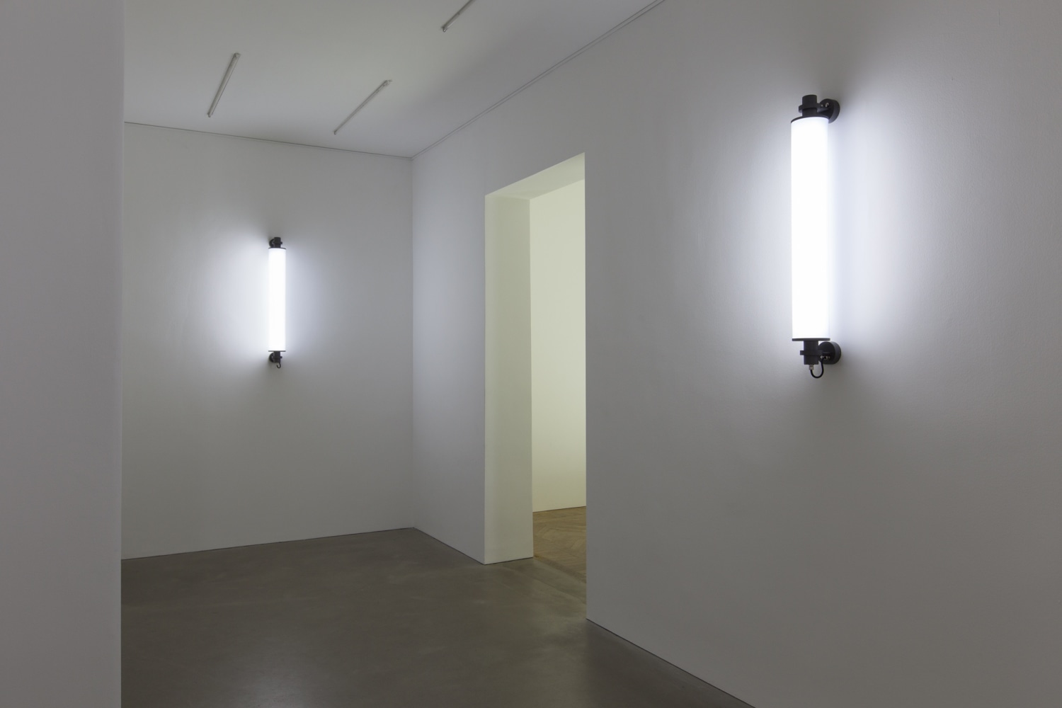 Flickering Light, 2013 (left and right) LED light, 1 programmed chip The light in the vertical lamps is programmed using...
