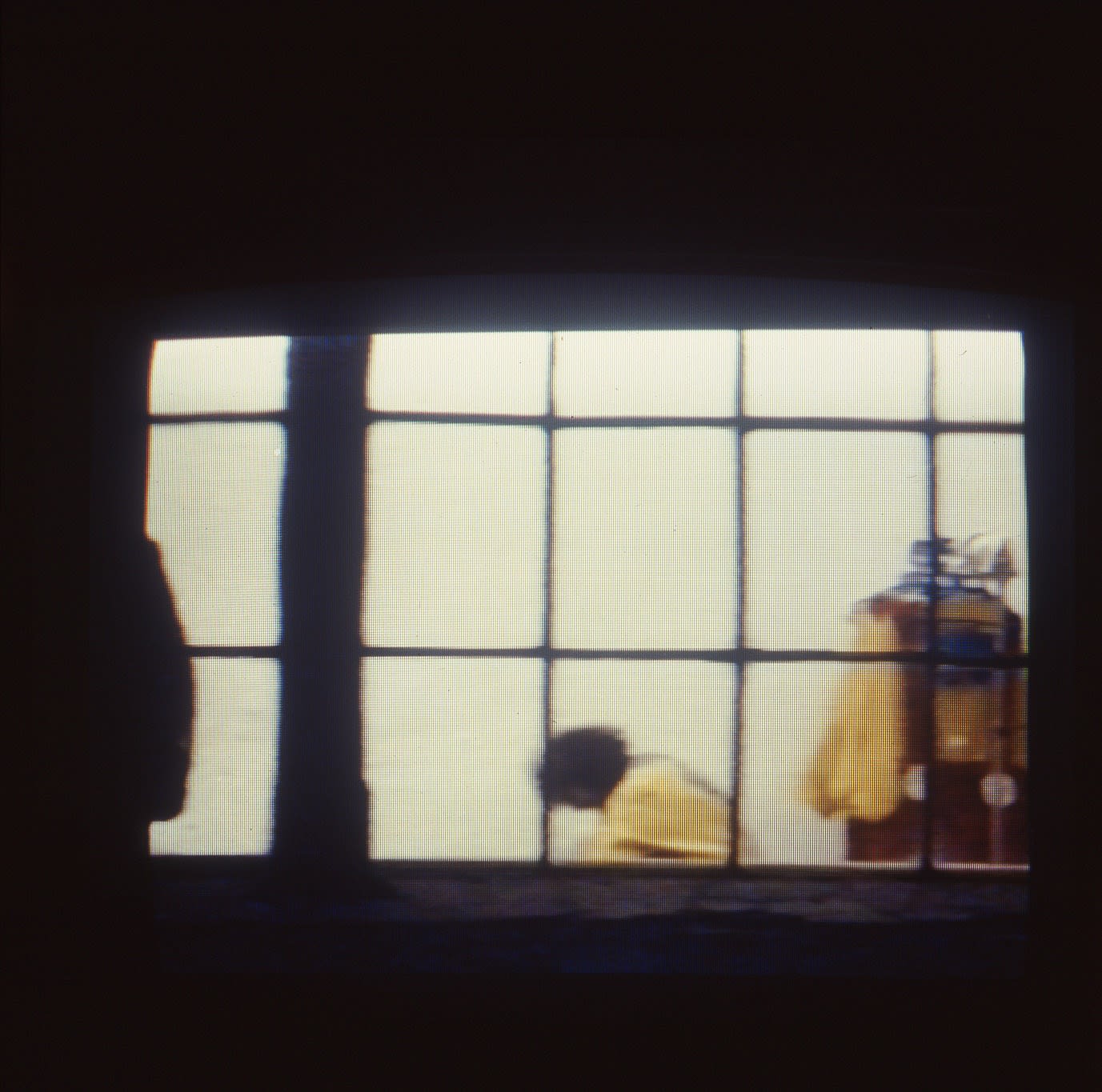 Pinocchio Pipenose Householddilemma Paul McCarthy