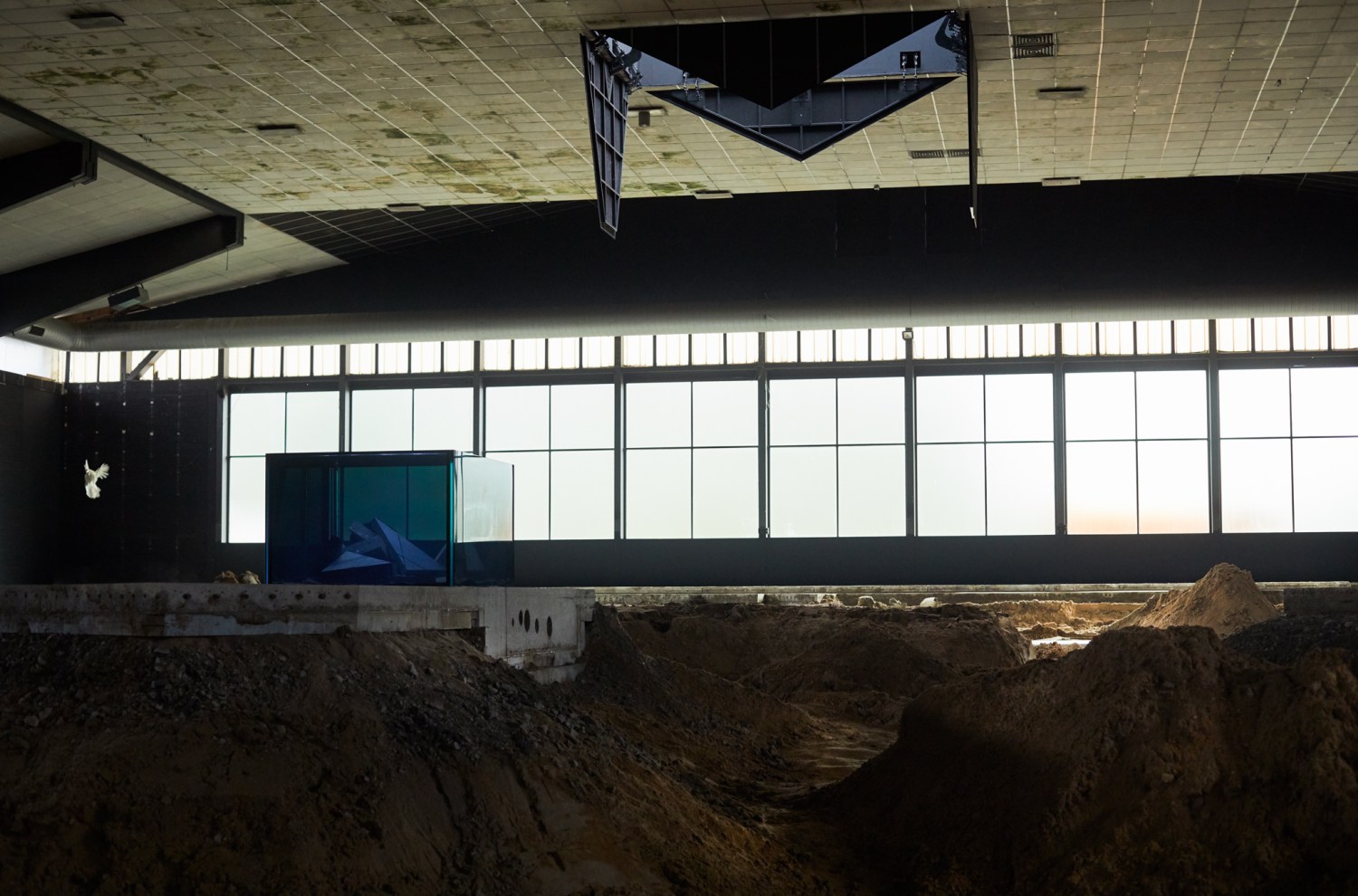Exhibition view: Pierre Huyghe, After ALife Ahead, Skulptur Projekte Münster, 2017. © the artist / VG Bild-Kunst, Bonn. Photo ©...