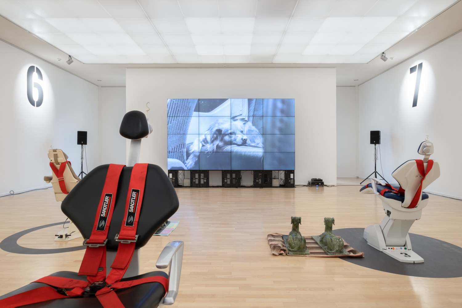 Exhibition view: Julia Scher, Planet Greyhound, Kunsthalle Gießen (2022). Photo © Rolf K. Wegst