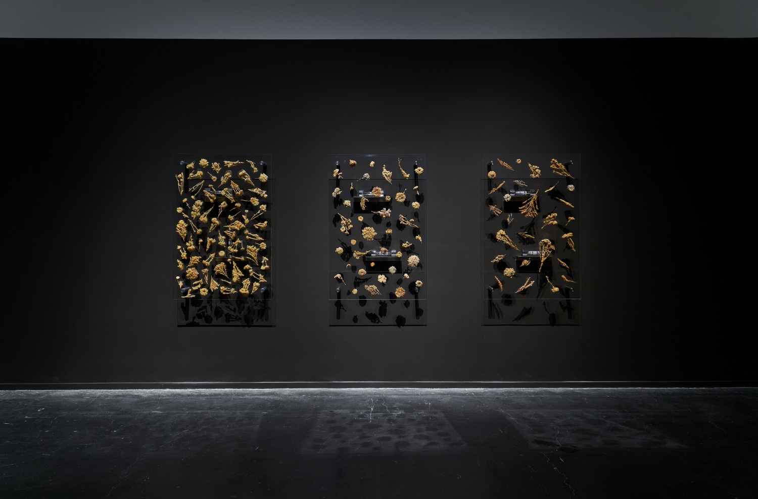 Installation view of 'Anicka Yi: There Exists Another Evolution, But In This One,' UCCA Center for Contemporary Art，2025. Photograph by...