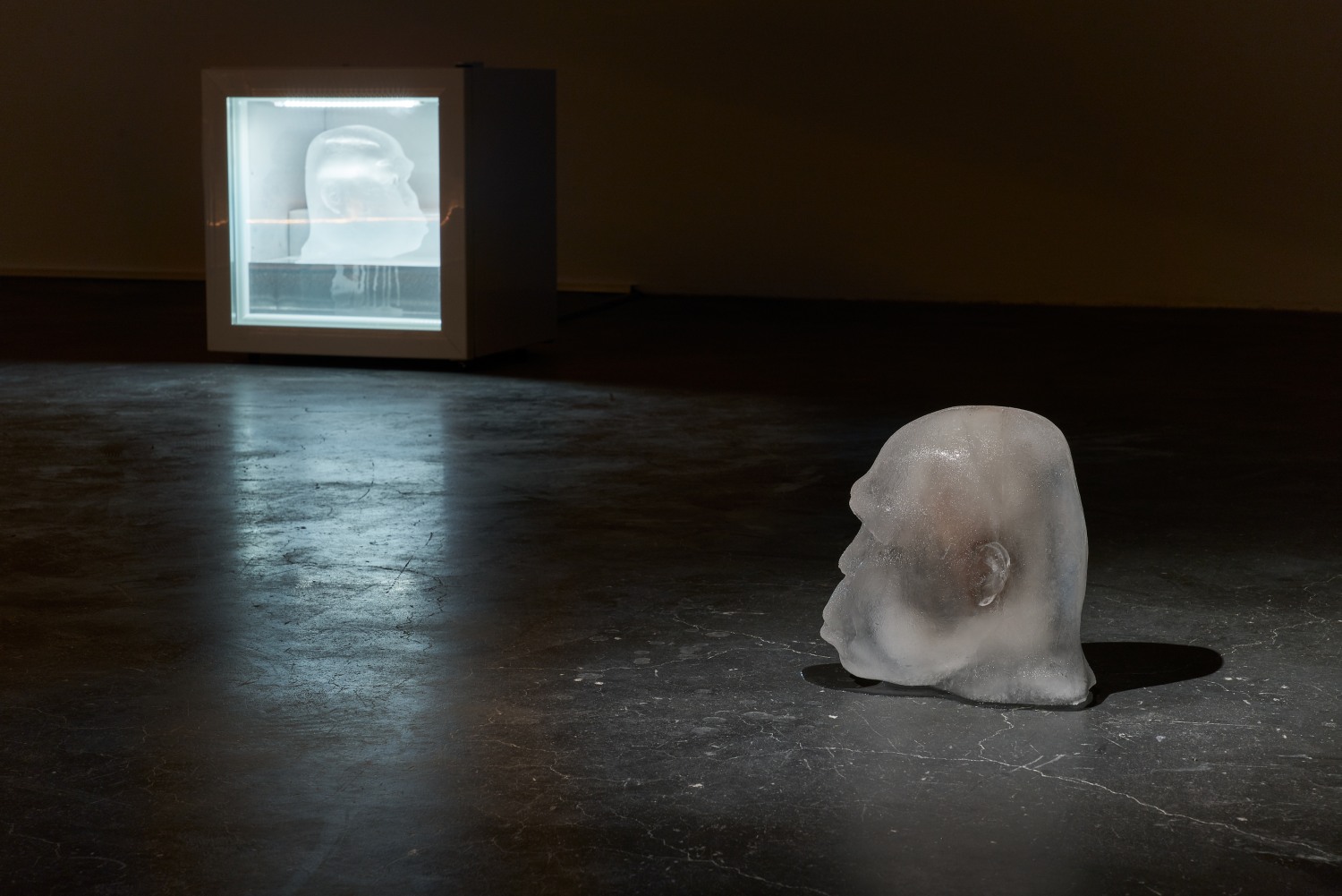 Installation view of 'Anicka Yi: There Exists Another Evolution, But In This One,' UCCA Center for Contemporary Art，2025. Photograph by...