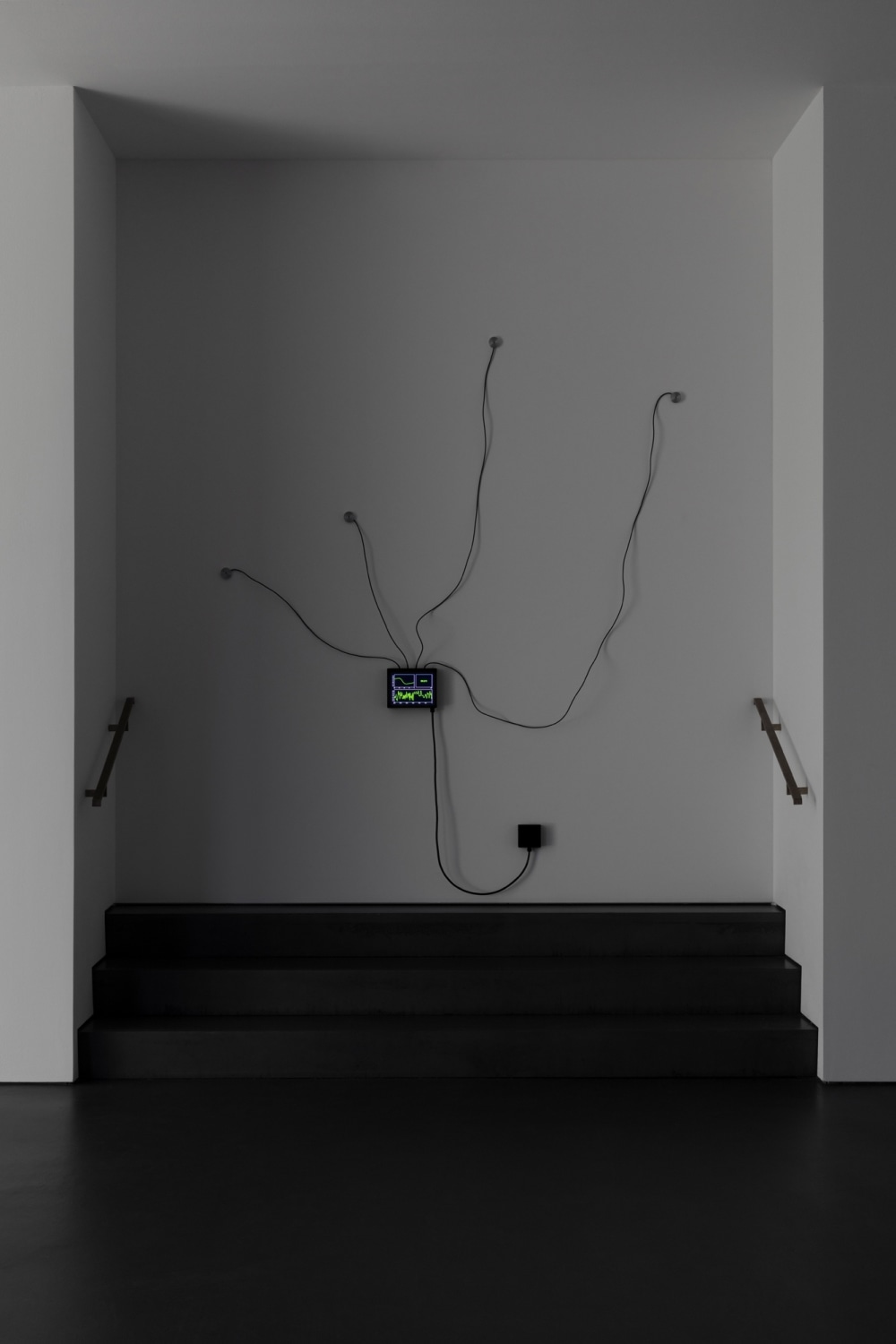 Etienne Chambaud, Fever (Harlequin Malaria), 2019. Exhibition view: Inexistence, Esther Schipper, Berlin, 2021. Photo © Andrea Rossetti