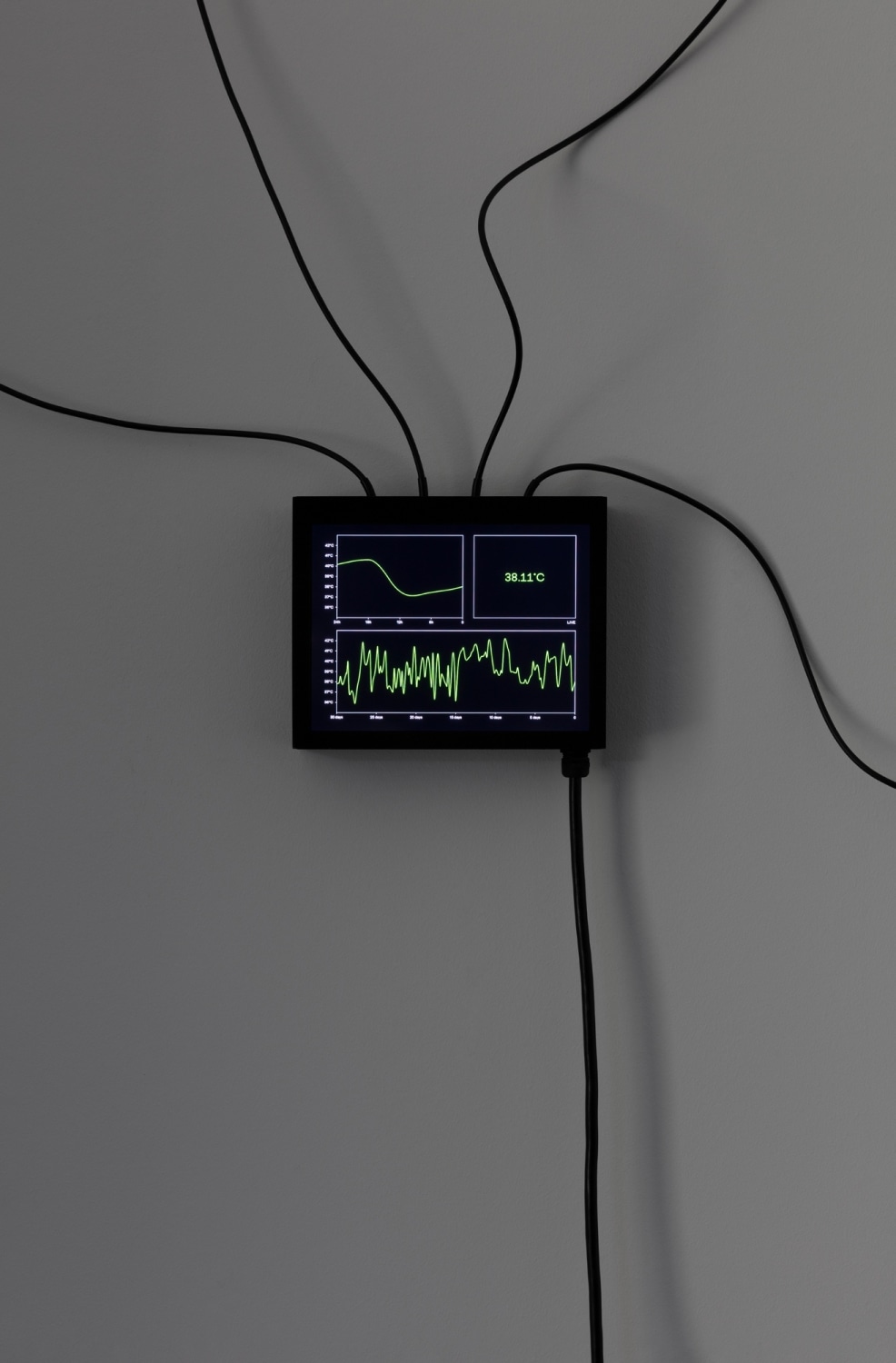 Etienne Chambaud Fever (Harlequin Malaria), 2019 (detail) Computer simulation, heating device, sensors, aluminum, cables Dimensions variable Exhibition view: Etienne Chambaud,...