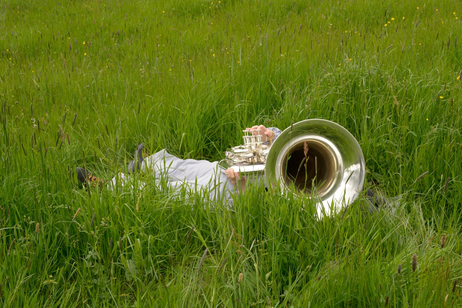 Shared Landscapes – Seven pieces between fields and forests Including Ari Benjamin Meyers' new work UNLESS