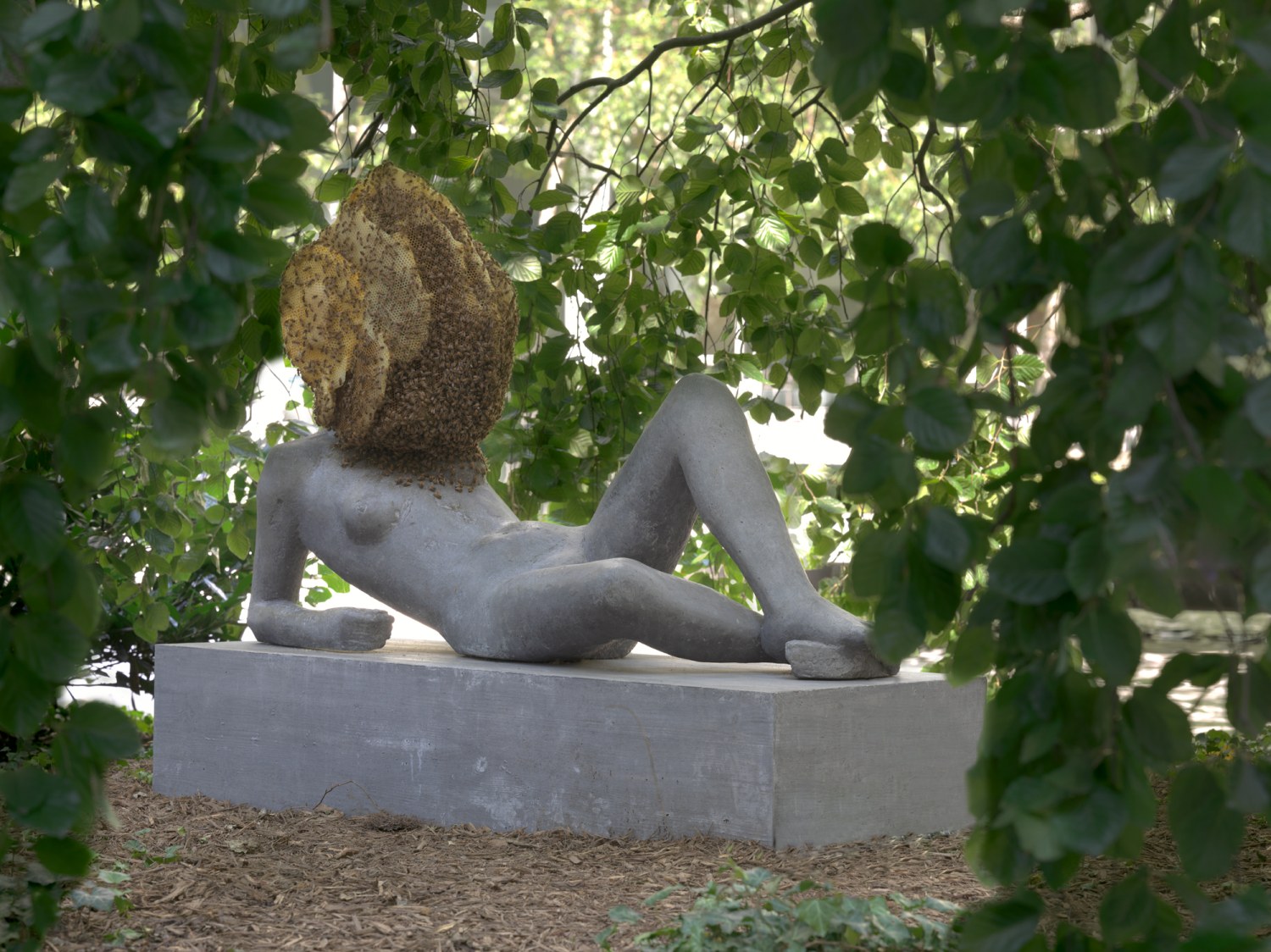 Pierre Huyghe | Esther Schipper